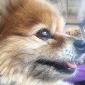 Meet your Posher, Stephany